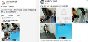 高中网上视频,高中网上视频课程精华概览