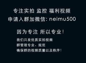 求微信福利视频群